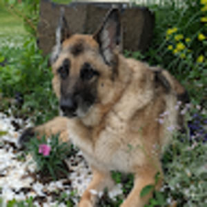 Meet your Posher, Kate